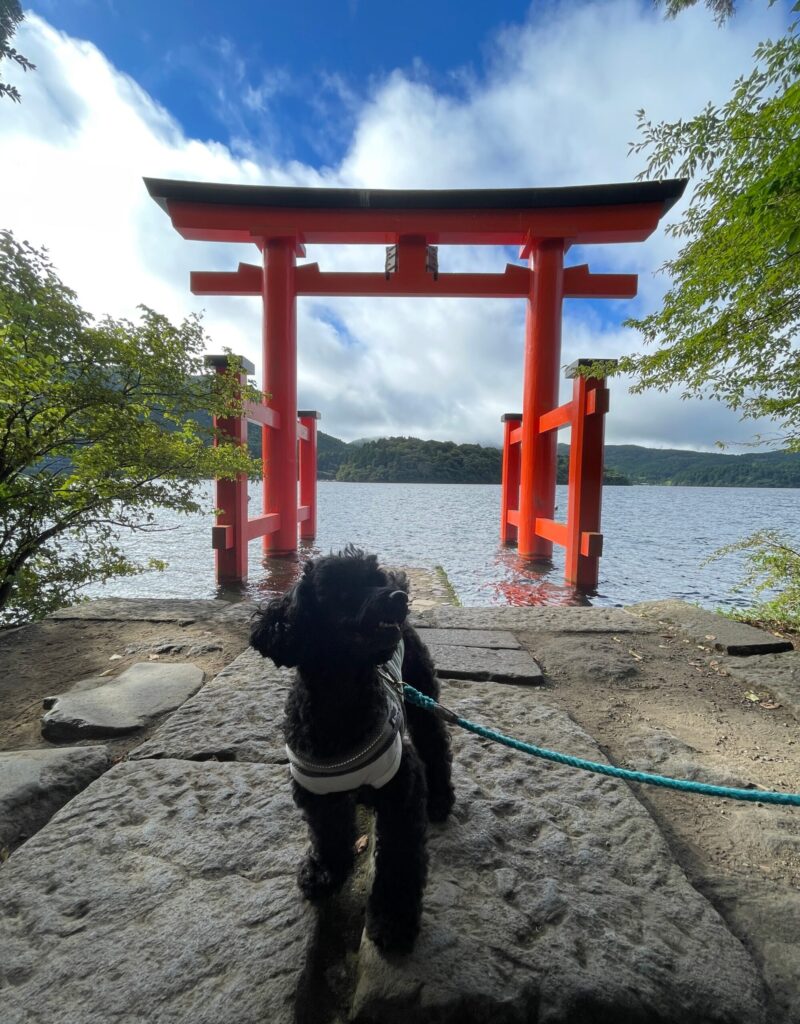 箱根神社　平和の鳥居